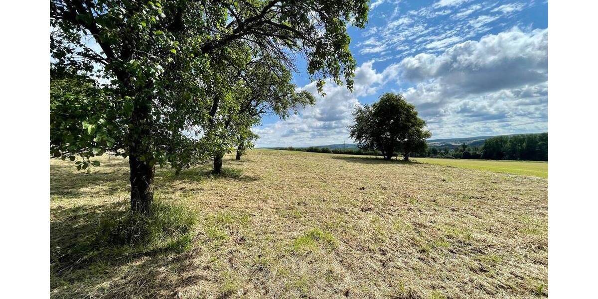 Grundstück Fröndenberg - Westicker Heide Frömern - 463.740&euro; | Angebot:26128895