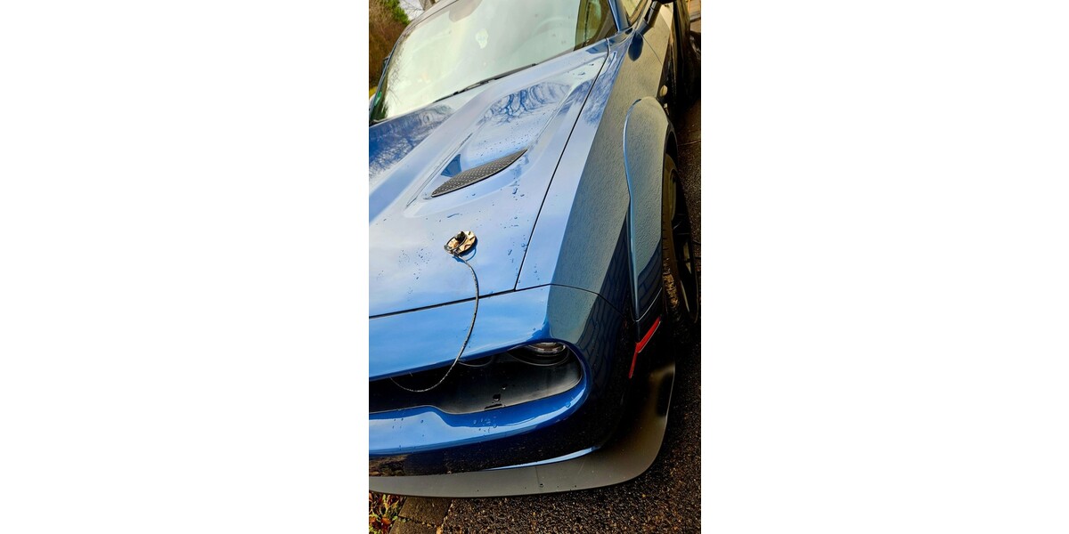 Dodge Challenger 10.000 km 56.000 &euro; Kamen 59174