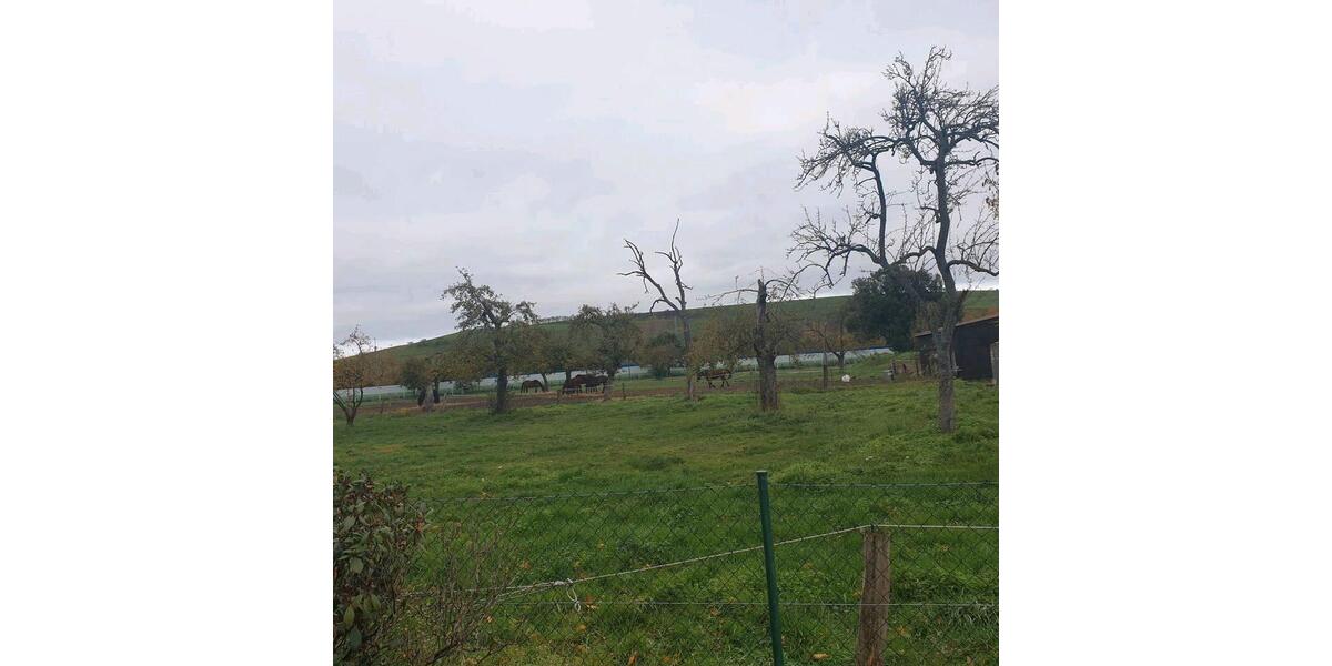 Erdgeschoßwohnung Hamm Herringen - 2 Zimmer, 85 m&sup2;, 700&euro; | Angebot:26302888