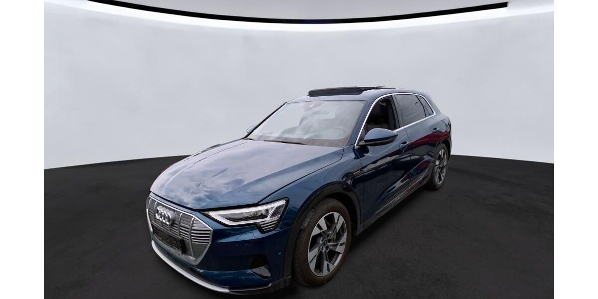 Audi e-tron 31.429 km 33.355 &euro; Hagen 58091