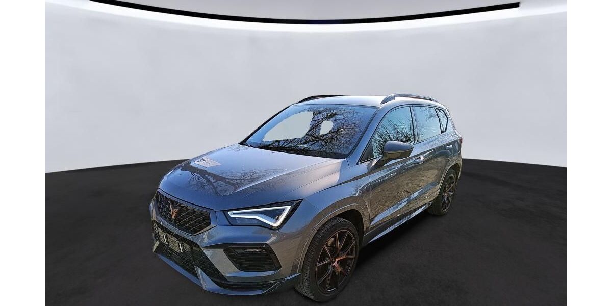 Cupra Ateca 74.113 km 29.420 &euro; Hagen 58091