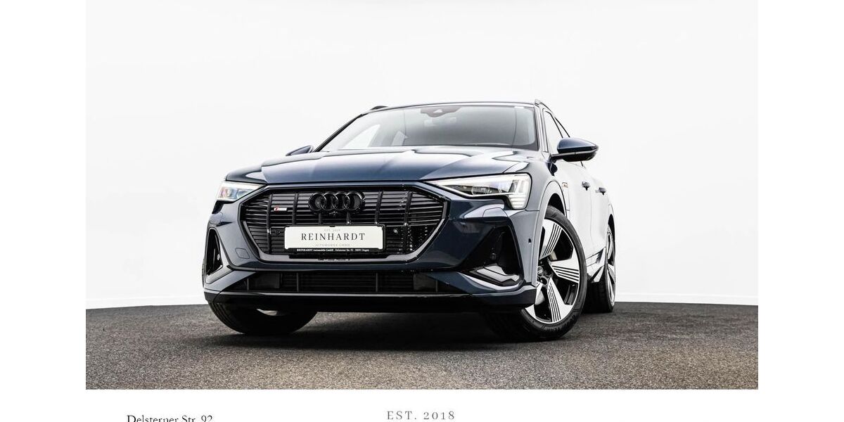 Audi e-tron 51.428 km 35.845 &euro; Hagen 58091