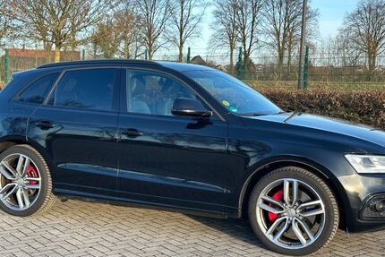 Audi SQ5 163.000 km 21.300 &euro; Lüdinghausen 59348