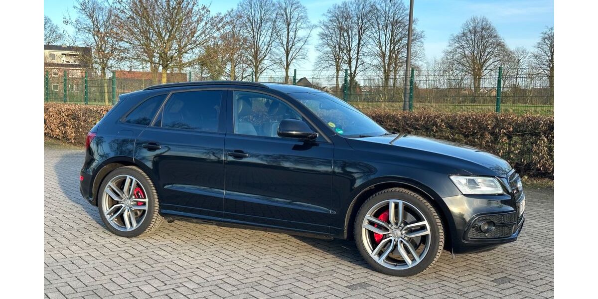 Audi SQ5 163.000 km 21.300 &euro; Lüdinghausen 59348