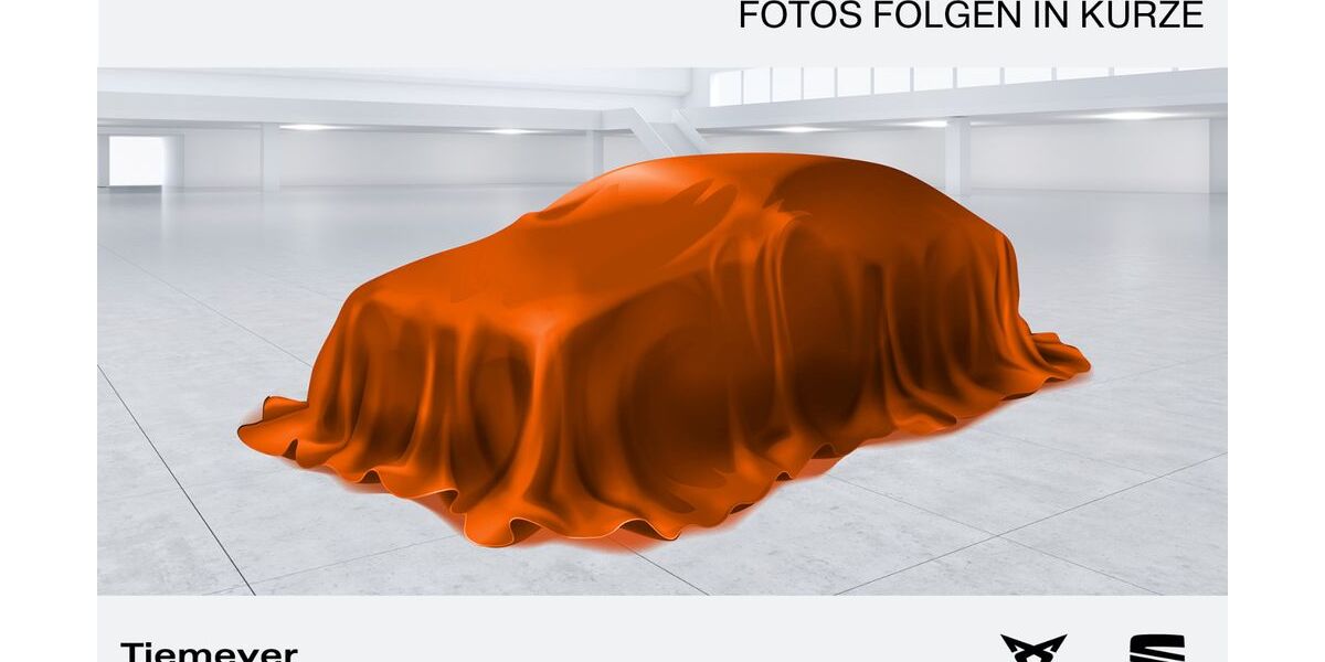 Cupra Formentor 38.177 km 25.490 &euro; Recklinghausen 45663