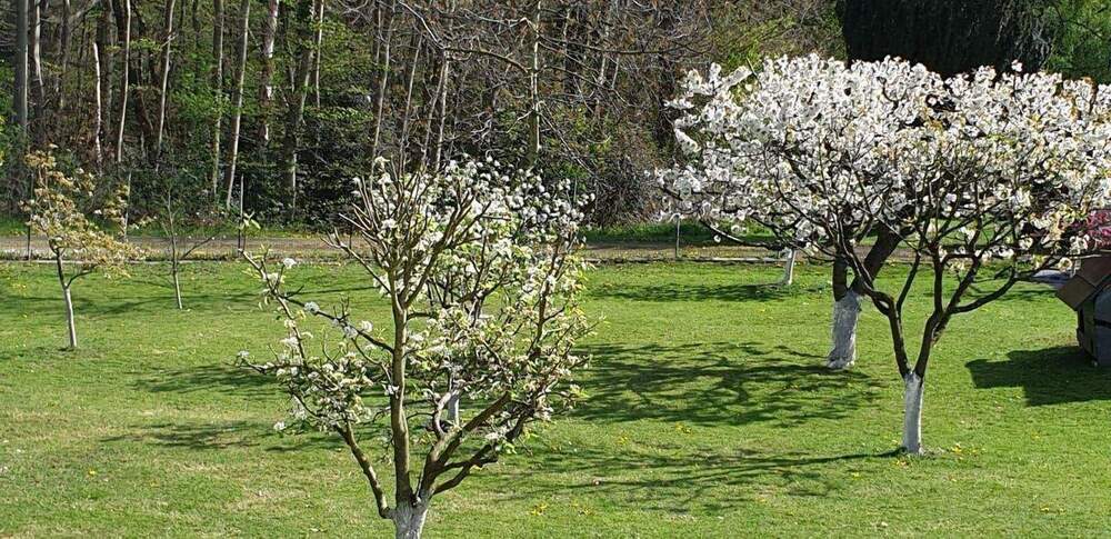 Mehrfamilienhaus, Wohnhaus Hagen Vorhalle - 590.000&euro; | Angebot:25774322