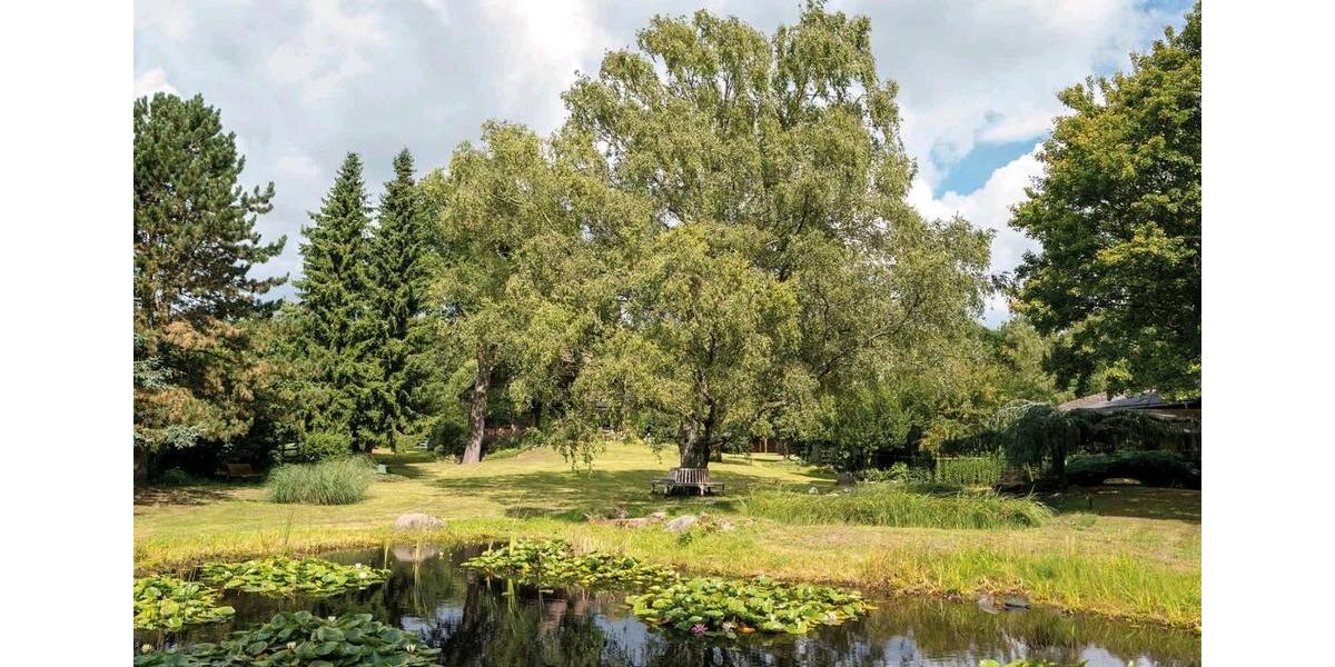 Mehrfamilienhaus, Wohnhaus Oer-Erkenschwick Erkenschwick - 12 Zimmer, 360 m&sup2;, 1.780.000&euro; | Angebot:27163325