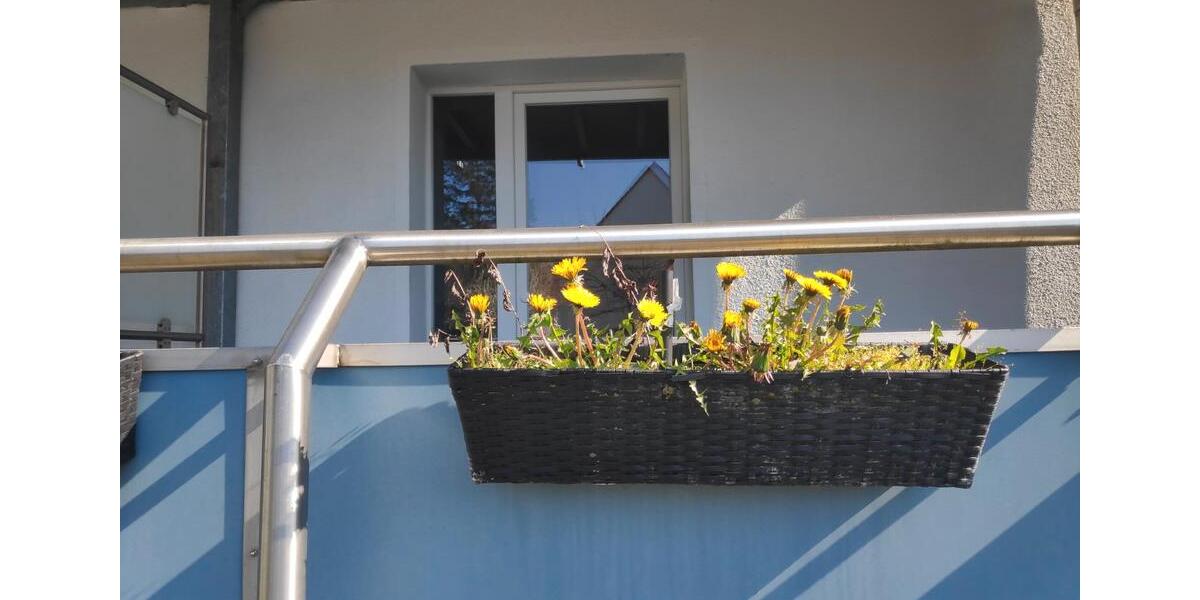 Erdgeschoßwohnung Bergkamen - 1 Zimmer, 47 m&sup2;, 390&euro; | Angebot:26040082