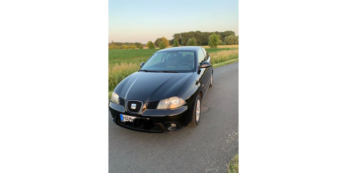 Seat Ibiza 133.000 km 3.250 &euro; Hamm 59071