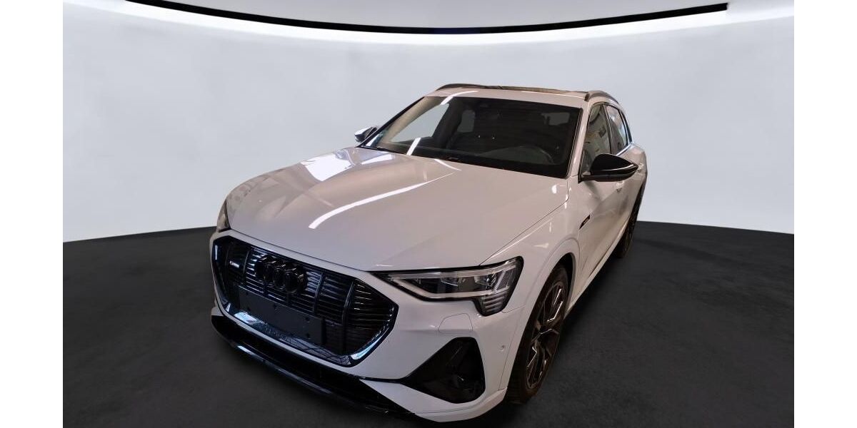 Audi e-tron 38.930 km 36.850 &euro; Hagen 58091