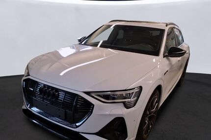 Audi e-tron 38.930 km 37.530 &euro; Hagen 58091