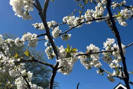 Grundstück Castrop-Rauxel Rauxel - 224.000&euro; | Angebot:26183435