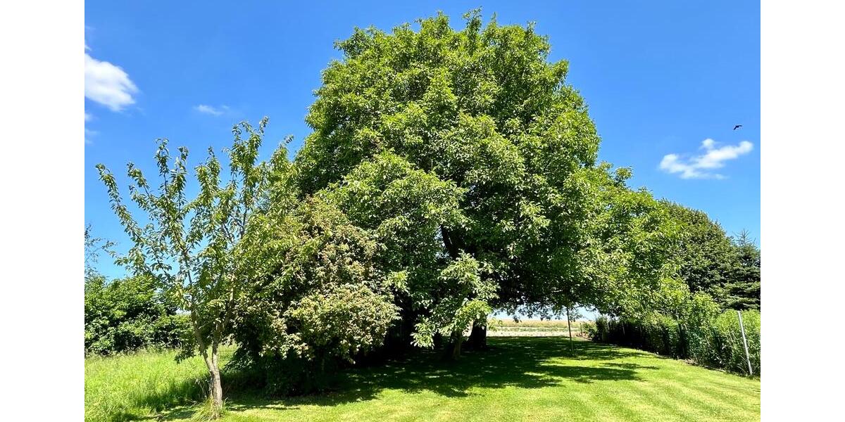 Doppelhaushälfte Dortmund Hombruch - 8 Zimmer, 260 m&sup2;, 1.235.000&euro; | Angebot:26615021