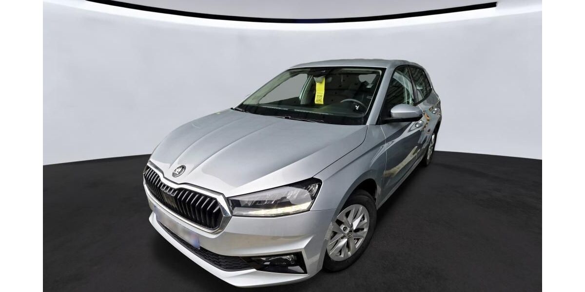 Skoda Fabia 29.142 km 13.940 &euro; Hagen 58091