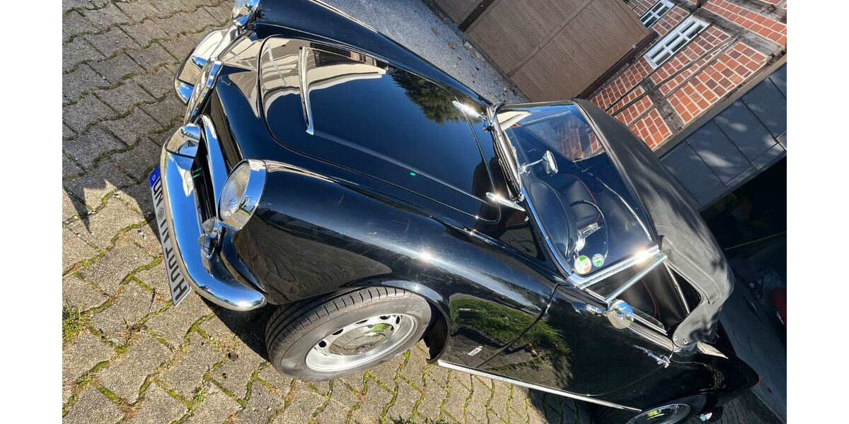 Alfa Romeo Spider 123.456 km 59.900 &euro; Kamen 59174
