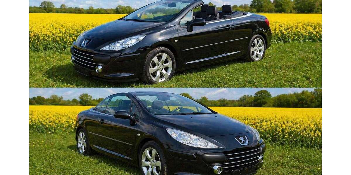 Peugeot 307 133.550 km 4.999 &euro; Werl, Stadt 59457