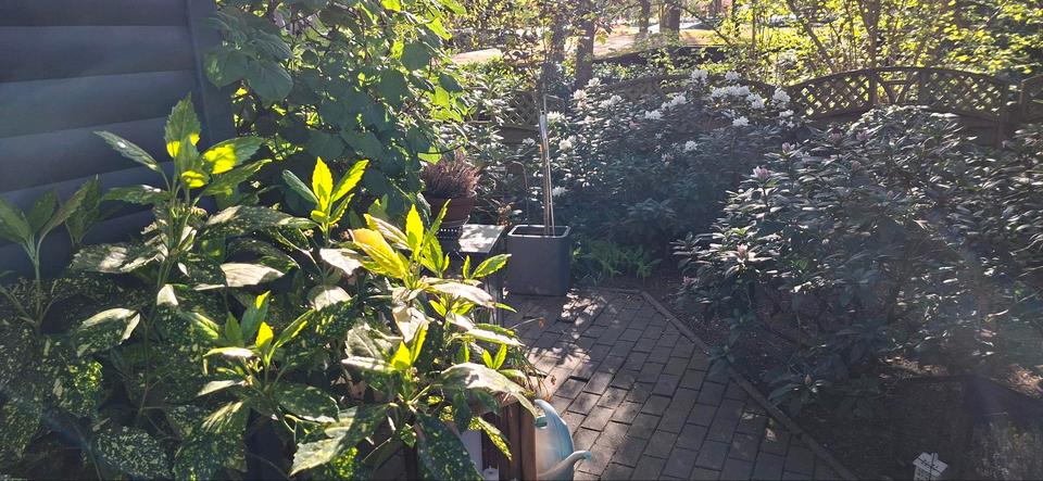 Einfamilienhaus Olfen - 89.900&euro; | Angebot:26226559