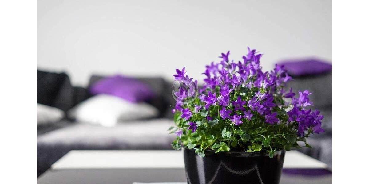 Mehrfamilienhaus, Wohnhaus Hagen Hohenlimburg - 1 Zimmer, 210 m&sup2;, 270.000&euro; | Angebot:25671090