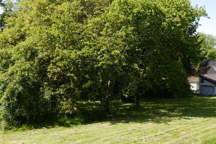 Grundstück Schwerte - 220.000&euro; | Angebot:11893815