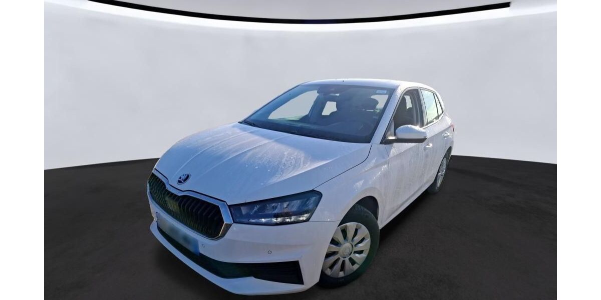 Skoda Fabia 46.624 km 11.690 &euro; Hagen 58091