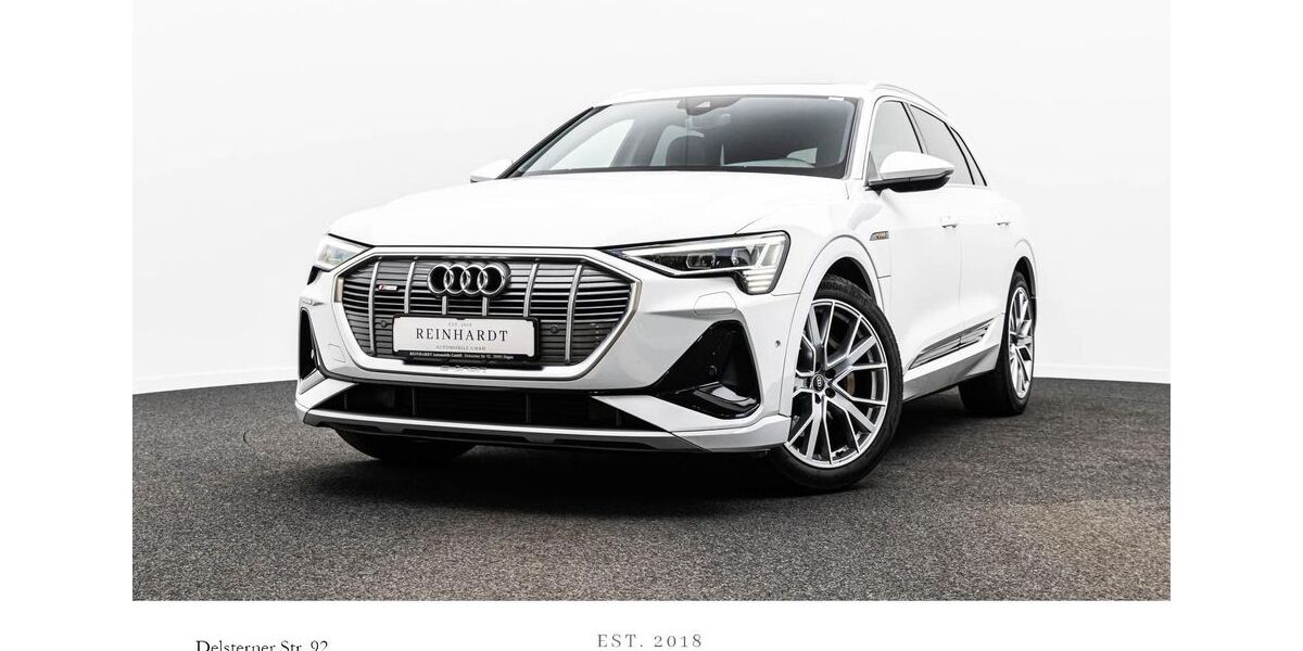 Audi e-tron 69.207 km 34.514 &euro; Hagen 58091