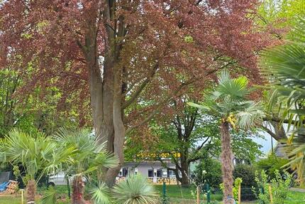 Wohnung Dortmund Brackel - 3 Zimmer, 79 m&sup2;, 1.750&euro; | Angebot:26291754