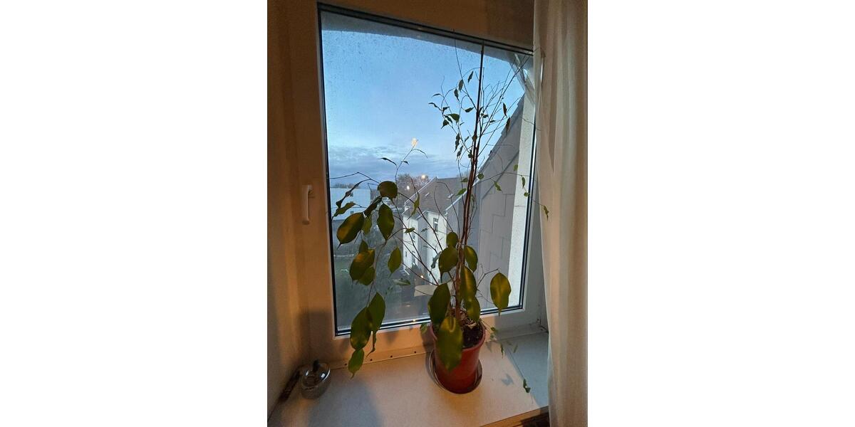 Etagenwohnung Bochum Günnigfeld - 1.5 Zimmer, 40 m&sup2;, 650&euro; | Angebot:26036973