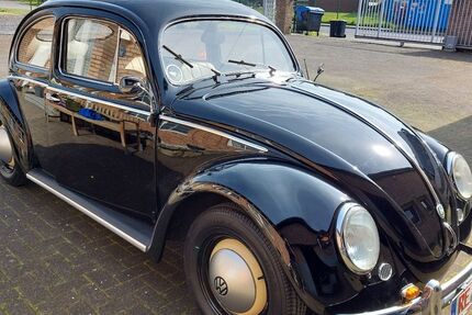 VW Käfer 55.555 km 42.500 &euro; Castrop Rauxel 44579