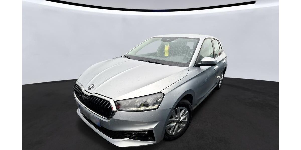 Skoda Fabia 45.350 km 13.940 &euro; Hagen 58091