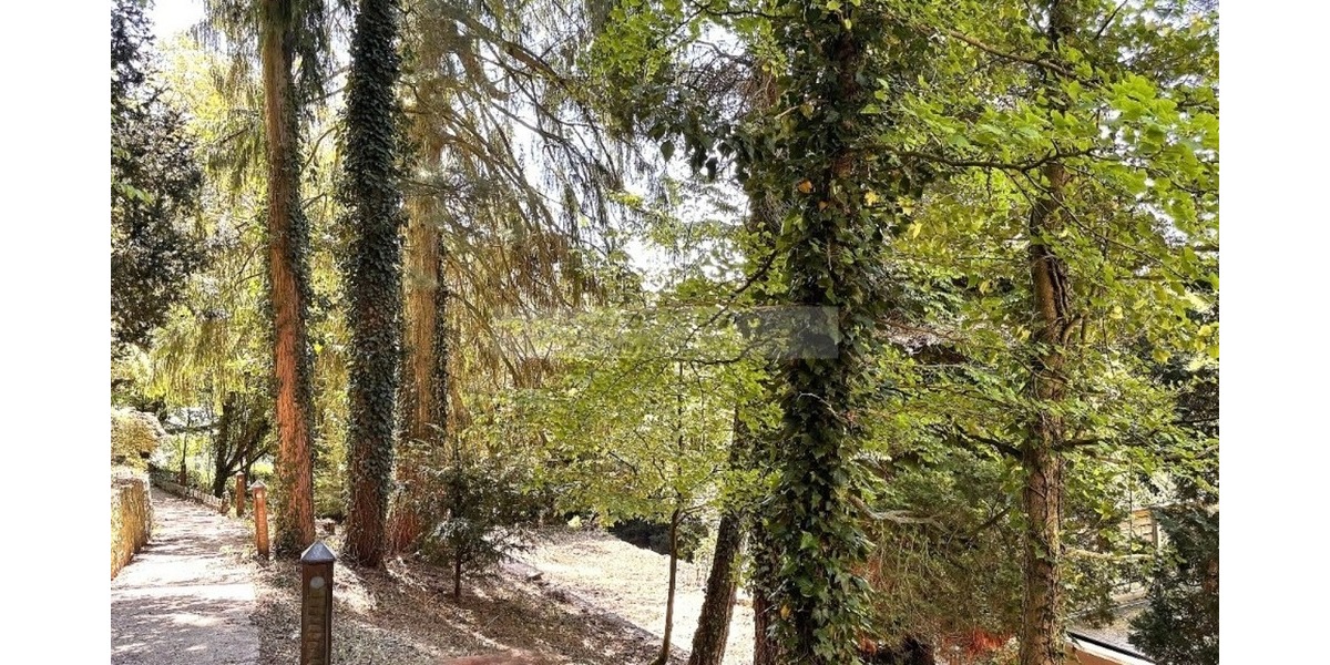 Rückzug statt Alltag – außergewöhnlich wohnen in Hohensyburg - Einfamilienhaus Dortmund Hohensyburg | Angebot:26122460