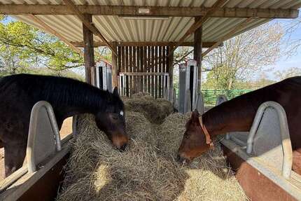 Haus Hamm - 5 Zimmer, 200 m&sup2;, 1.495.000&euro; | Angebot:26312220