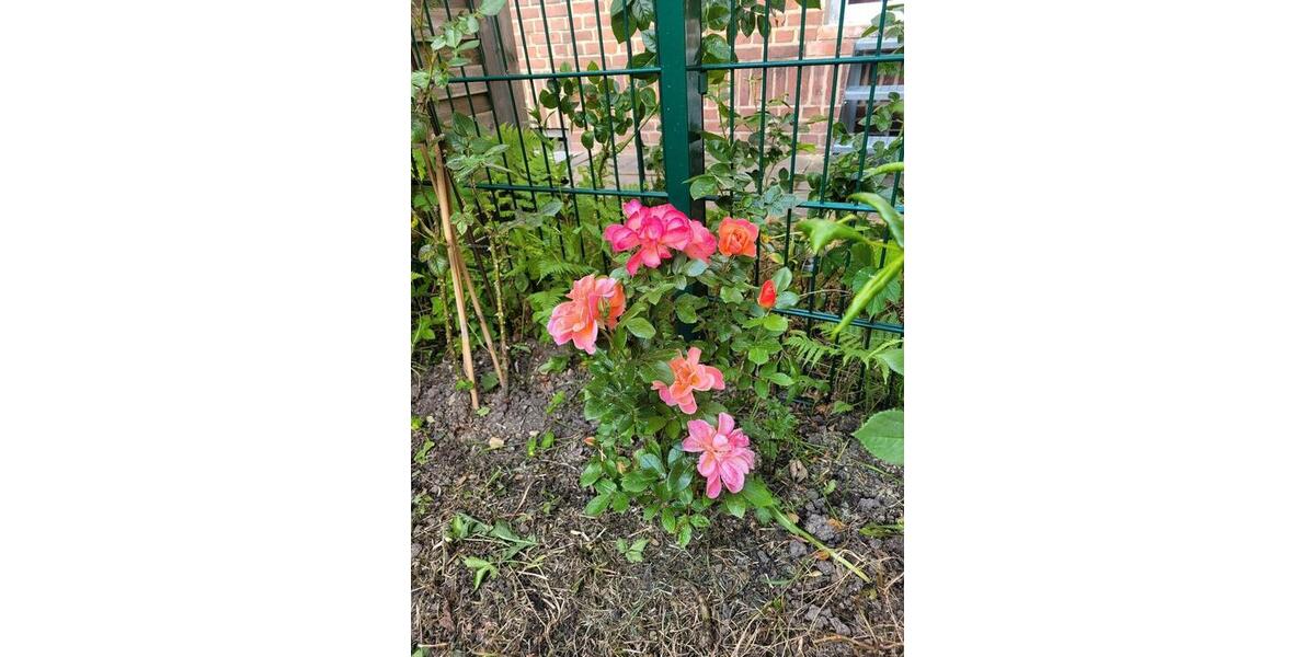 Erdgeschoßwohnung Bochum Werne - 2 Zimmer, 57 m&sup2;, 150.000&euro; | Angebot:26222344