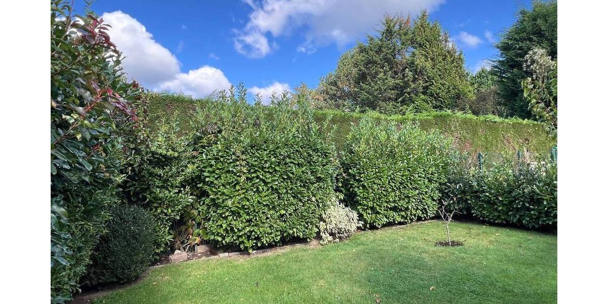 Terrassenwohnung Haltern am See Haltern - 4 Zimmer, 101 m&sup2;, 325.000&euro; | Angebot:25927428