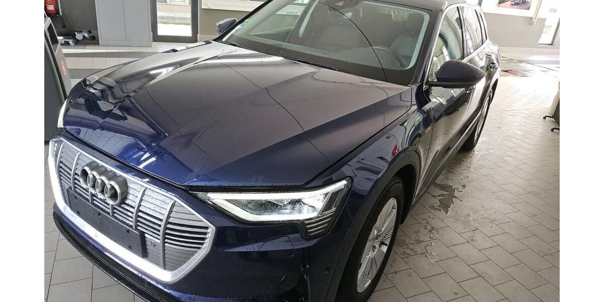 Audi e-tron 38.891 km 37.560 &euro; Hagen 58091