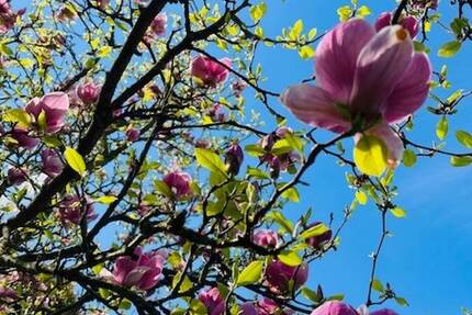 Wohnung Werl Büderich - 3 Zimmer, 68 m&sup2;, 565&euro; | Angebot:26217695