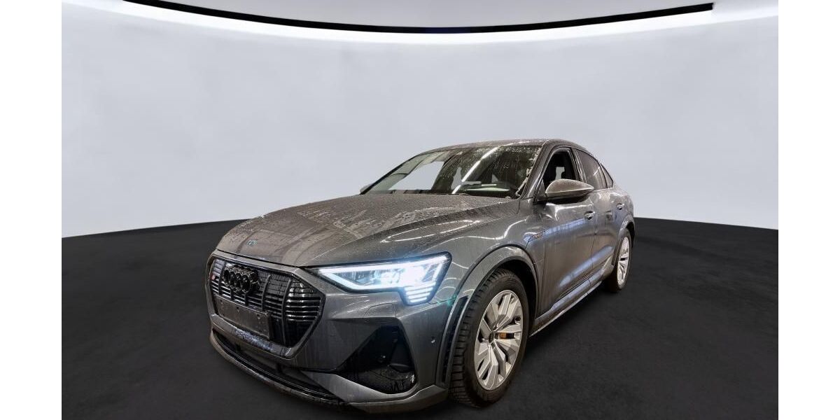 Audi e-tron 67.282 km 43.105 &euro; Hagen 58091