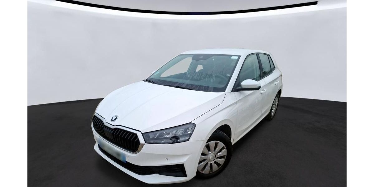 Skoda Fabia 39.999 km 11.715 &euro; Hagen 58091