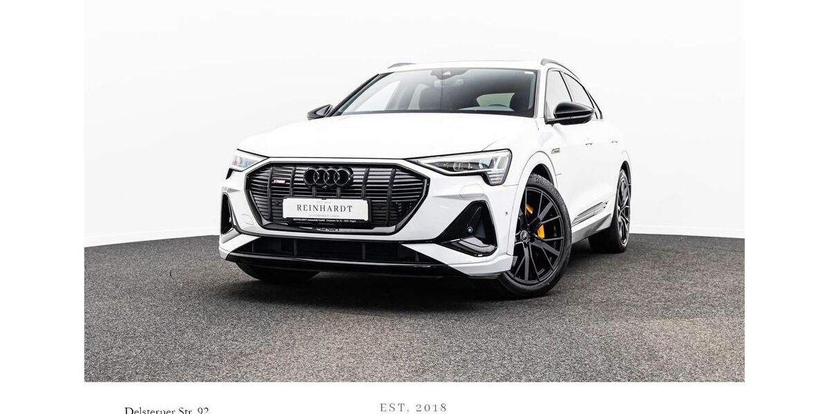 Audi e-tron 42.228 km 37.008 &euro; Hagen 58091