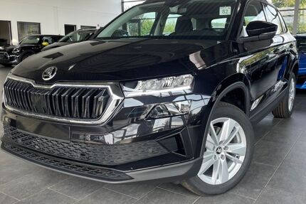 Skoda Karoq 12.800 km 29.870 &euro; Lünen 44536