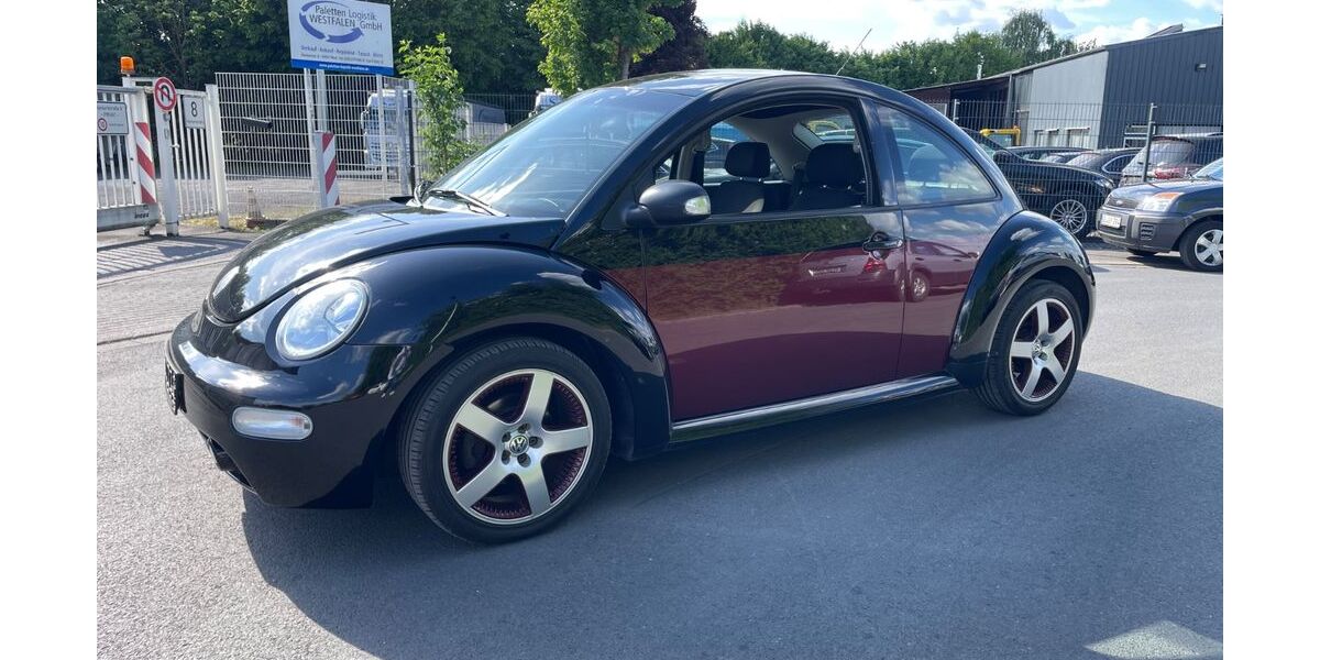 VW New Beetle 226.000 km 2.500 &euro; Werl 59457