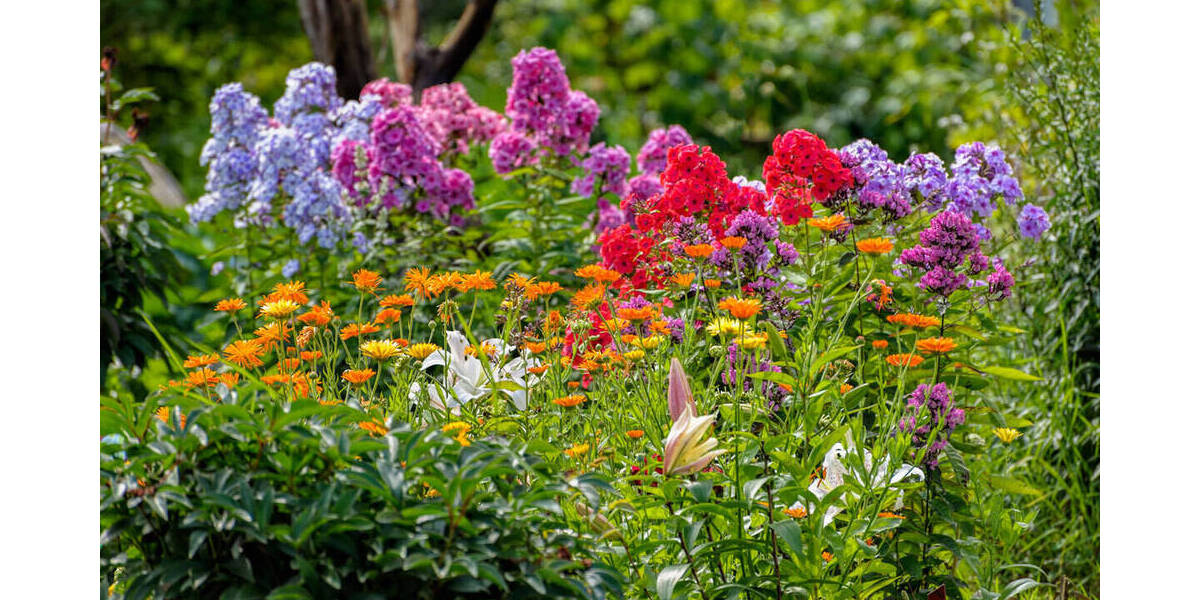 Grundstück Fröndenberg-Mitte Fröndenberg - 99.500&euro; | Angebot:26143267