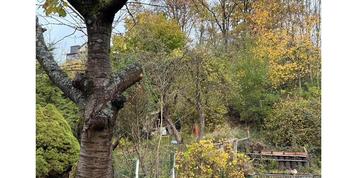 Reihenhaus Menden (Sauerland) - 6 Zimmer, 140 m&sup2;, 325.000&euro; | Angebot:24468870