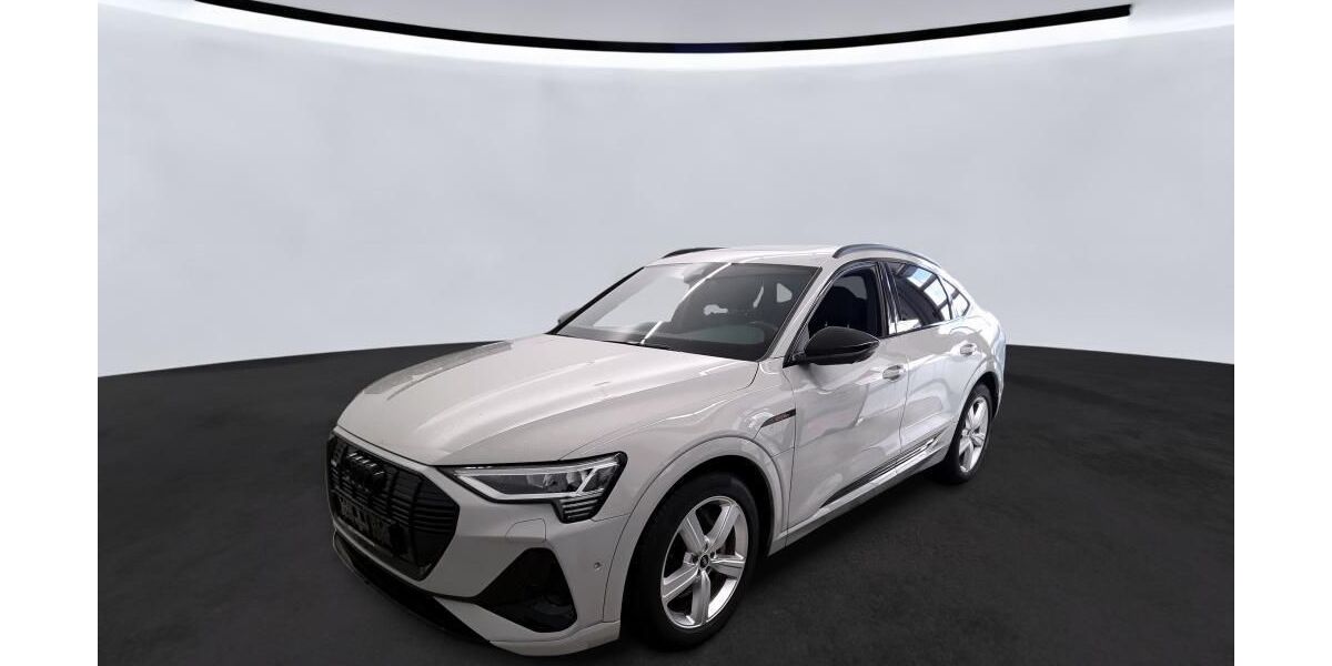 Audi e-tron 72.879 km 35.829 &euro; Hagen 58091