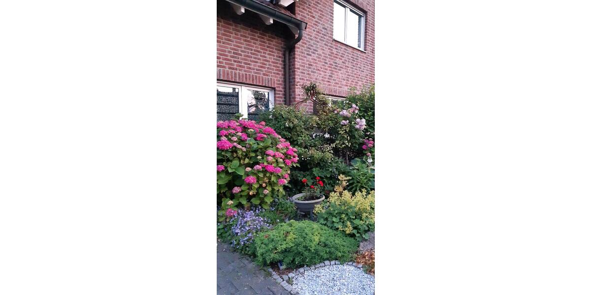 Doppelhaushälfte Drensteinfurt - 5 Zimmer, 123 m&sup2;, 429.000&euro; | Angebot:24746260