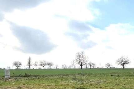 Haus Datteln Dümmer - 5 Zimmer, 122 m&sup2;, 299.000&euro; | Angebot:19374284