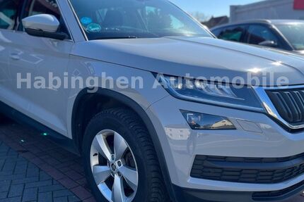 Skoda Kodiaq 225.000 km 17.700 &euro; Castrop Rauxel 44579