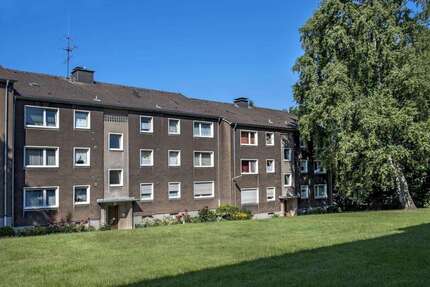 Wohnung Hagen Vorhalle - 3 Zimmer, 70 m&sup2;, 519&euro; | Angebot:24730336