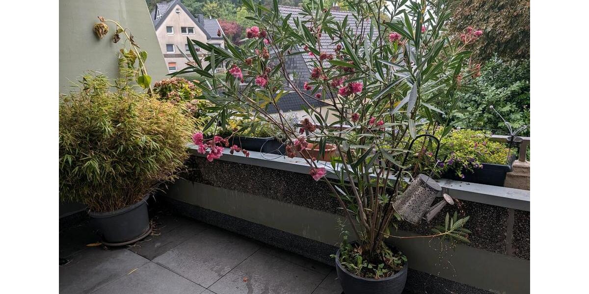 Etagenwohnung Iserlohn Grüne - 2 Zimmer, 60 m&sup2;, 130.000&euro; | Angebot:27290690