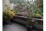 Etagenwohnung Iserlohn Grüne - 2 Zimmer, 60 m&sup2;, 130.000&euro; | Angebot:27290690