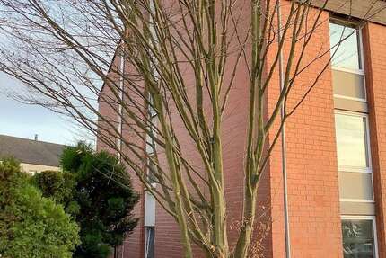 Wohnung Dortmund Hombruch - 1 Zimmer, 23 m&sup2;, 200&euro; | Angebot:26182448